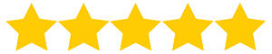 Data Fast Solution 5-Star Customer Rating